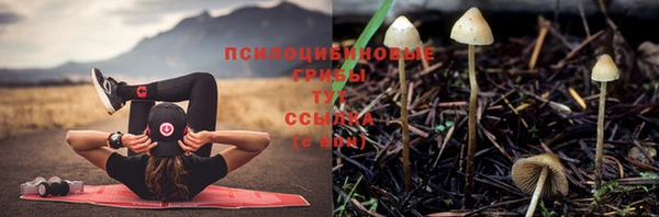 таблы Белокуриха