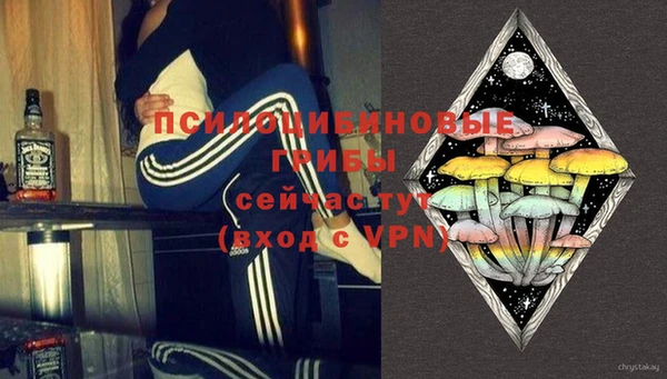 таблы Белокуриха
