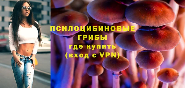 таблы Белокуриха
