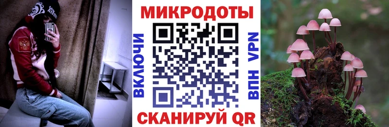 купить  сайты  Харабали  Галлюциногенные грибы Psilocybine cubensis 